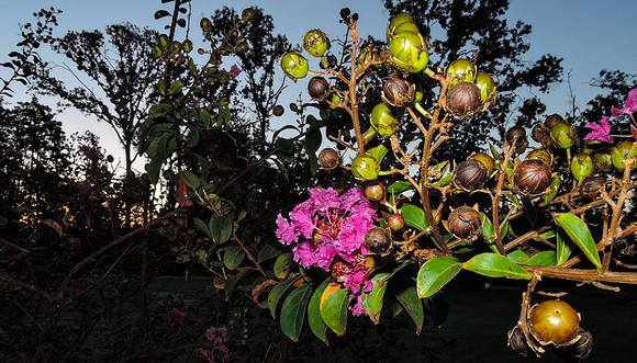 20141004-DSCN1455