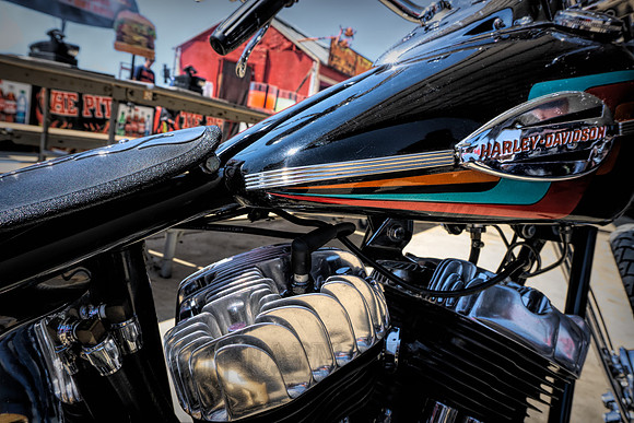 DSC03630-Edit