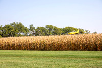 502A9648