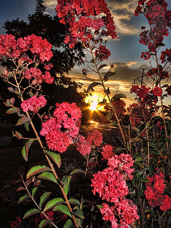 20121007-DSCN2181-Edit