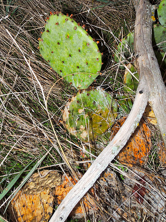 20121007-DSCN2255