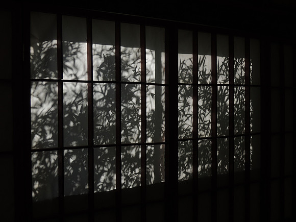 20130315-DSCN6535