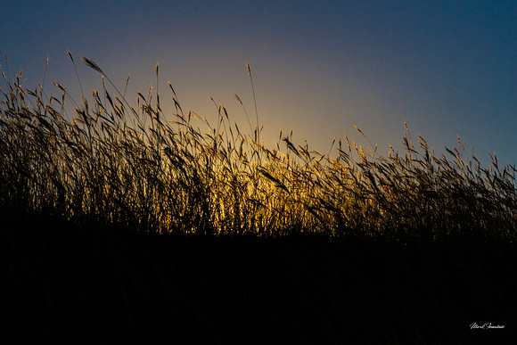 20151004-IMG_0672-Edit-Edit