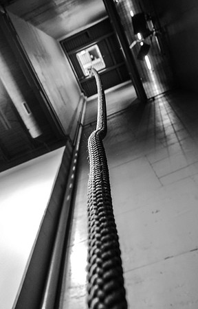 20160707-DSCN2541