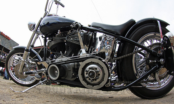 IMG_9568_edited-1.jpg