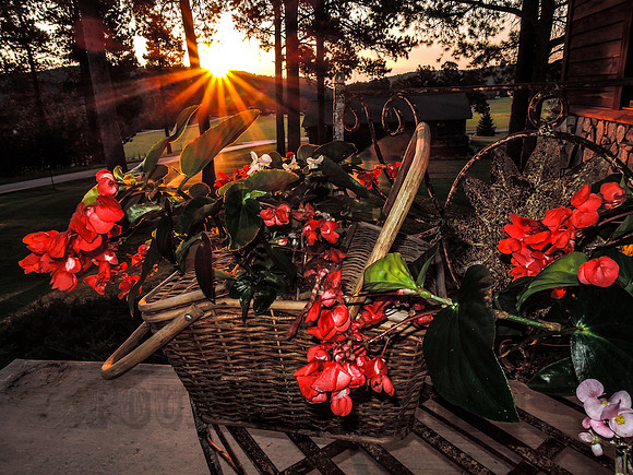 20150803-DSCN7738