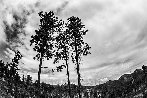 20160805-IMG_5975