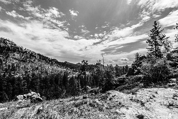 20160805-IMG_5988