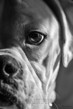 20160218-IMG_8426-Edit