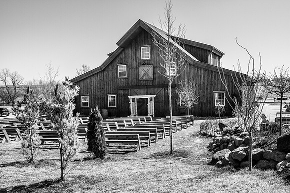 IMG_2541