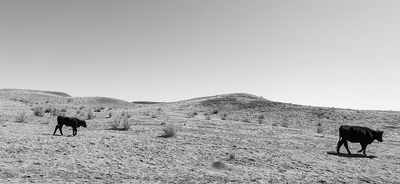 DSC07869