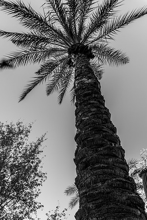 DSC08048
