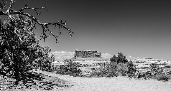 IMG_5730