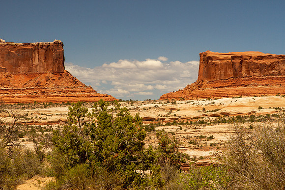 IMG_5735