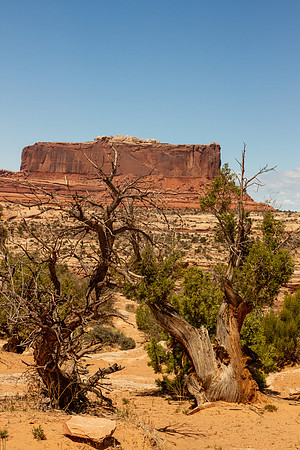IMG_5752