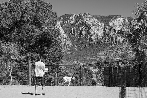 IMG_5974
