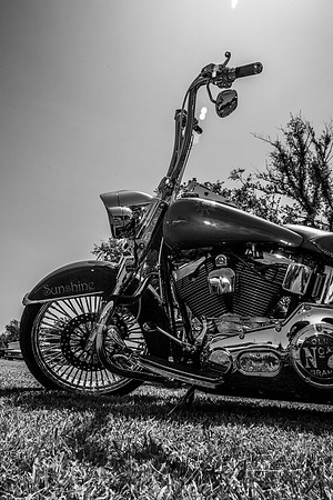 IMG_7847
