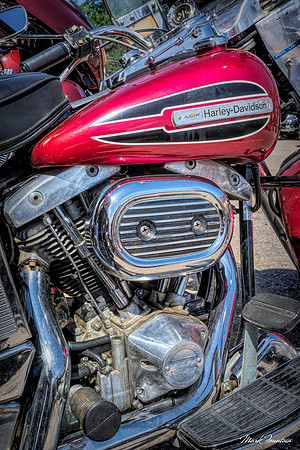 DSC03027-Edit