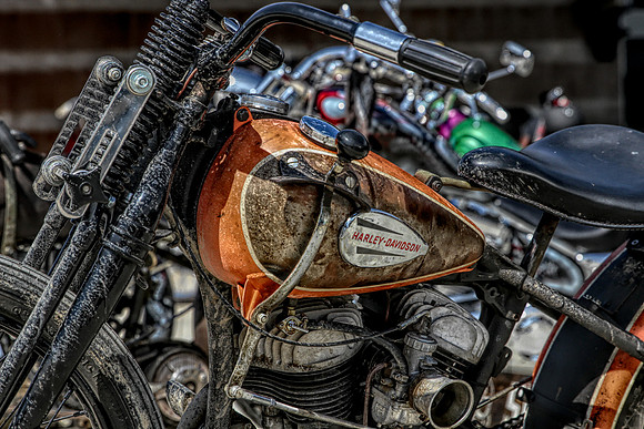 IMG_7862-Edit