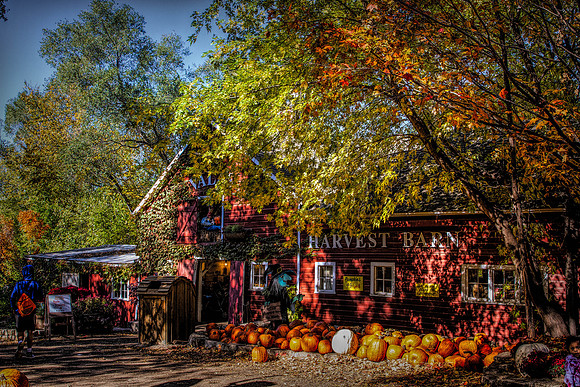 IMG_9429-Edit