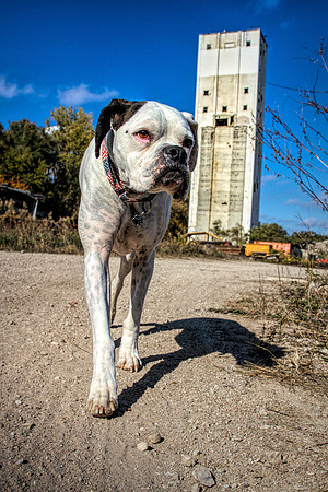 IMG_9867-Edit