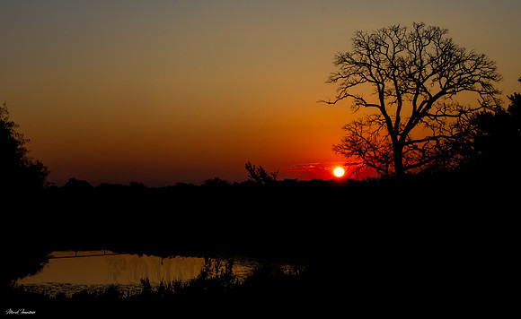 IMG_3147-Edit