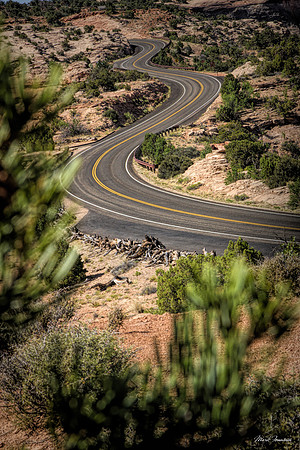 winding road HDR