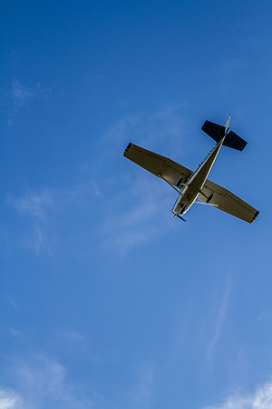 IMG_6639