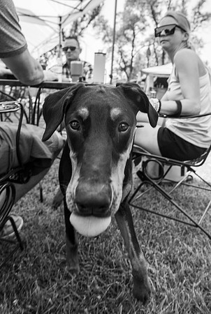 IMG_7816