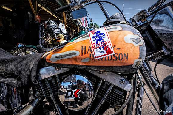 DSC02903-Edit