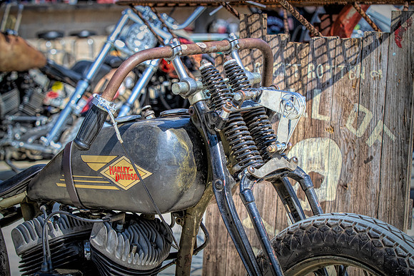 IMG_8088-Edit