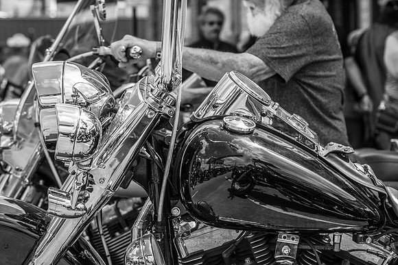 IMG_8238