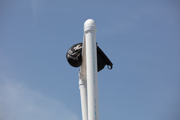 0E5A6529